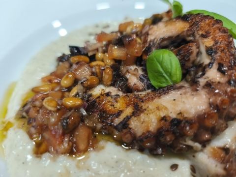 poulpe de méditerranée grillé